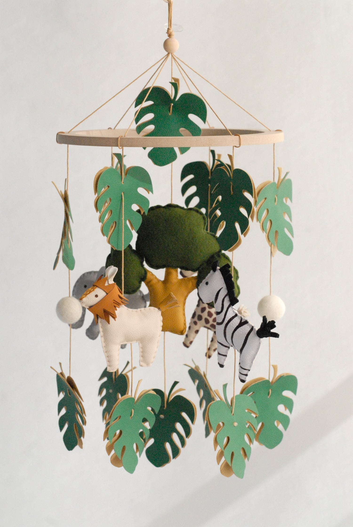Colección Selva