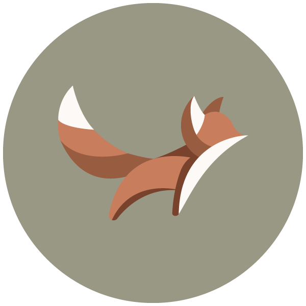 Mr. Fox Colombia